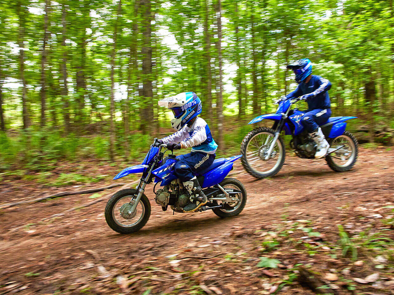 2024 Yamaha TTR50