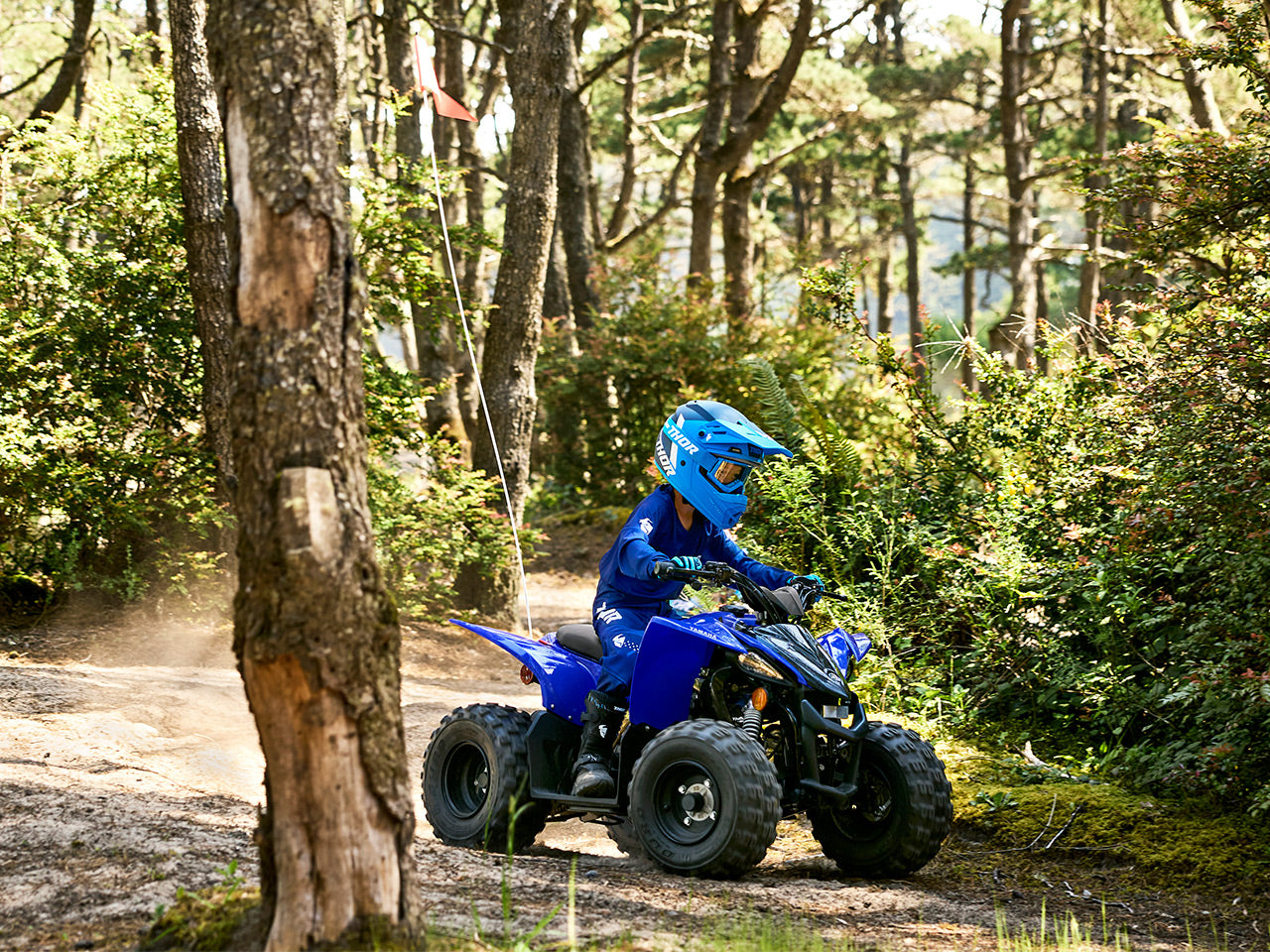 2023 Yamaha Raptor 50