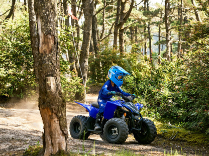 2023 Yamaha Raptor 50