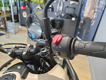 Royal Enfield Himalayan 450 ex-demo