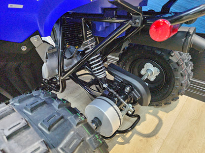 2025 Yamaha Raptor 110