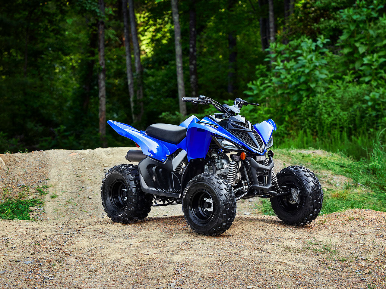 2023 Yamaha Raptor 90