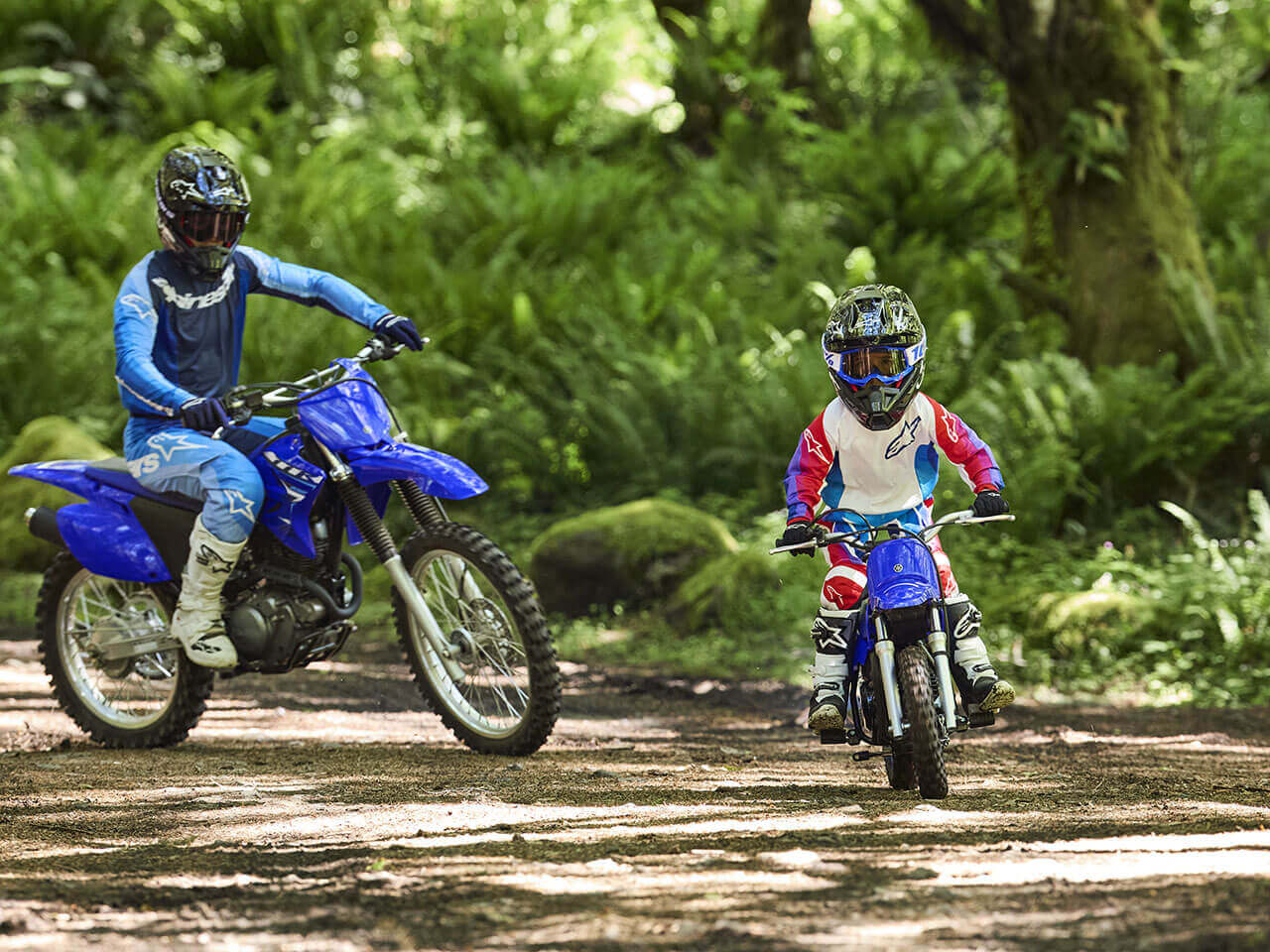 2026 Yamaha PeeWee 50