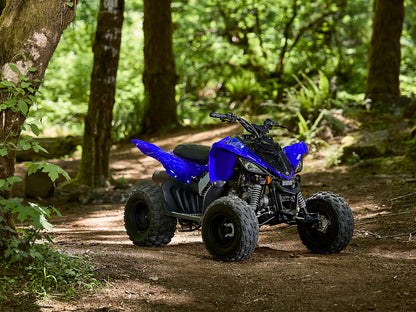 2025 Yamaha Raptor 110