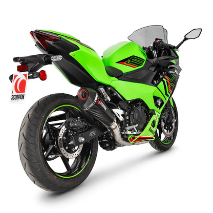 Kawasaki Ninja 500 Euro 5+ 24 - Current
2024 - 2025