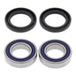 All Balls Racing Wheel Bearing Kit (25-1079)