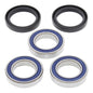 All Balls Racing Wheel Bearing Kit (25-1250)
