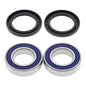 All Balls Racing Wheel Bearing Kit (25-1293)