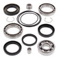 Differential Bearing Kit TRX300/FW '88-'00 Rear