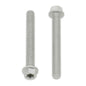 Bolt Euro Torx 6x25mm Flange Bolt (Packet of 10) Refill