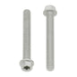 Bolt Euro Torx 6x55mm Flange Bolt (Packet of 10)