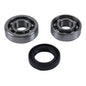 Counter Balancer Kit