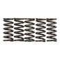 Premier Clutch Springs - Heavy Duty