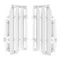 Radiator Louvers Beta RR250/300 2T 350/400/450 4T '20-'21 - White