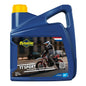 Putoline TT Sport Injector Engine Oil (2T)