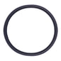 Quantum Fuel Pump Seal Gasket