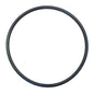 Quantum Fuel Pump Seal Gasket