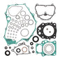 Complete Gasket Set with Oil Seals 811947