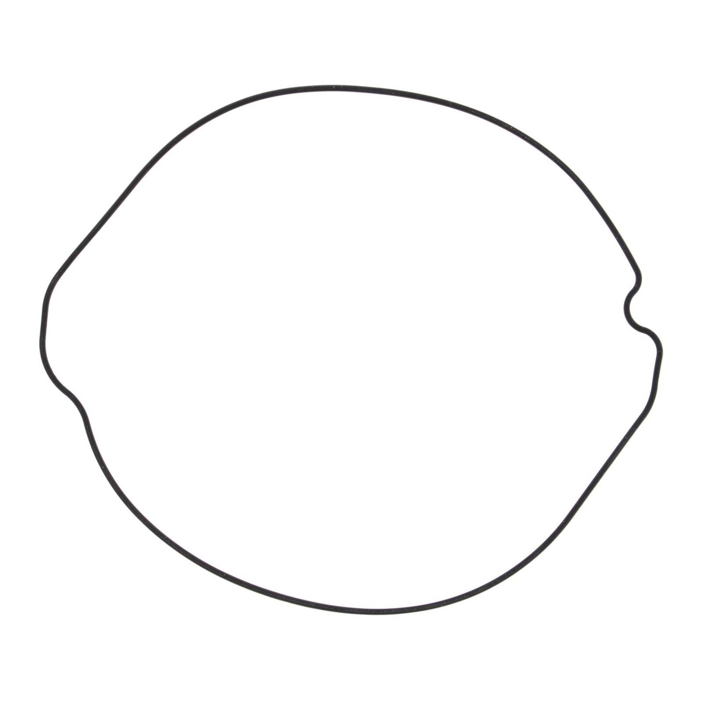 Outer Clutch Gasket Kit 817253