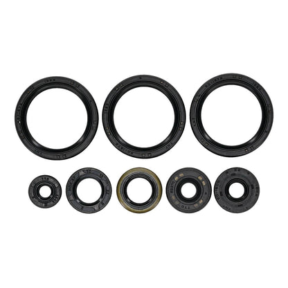 Oil Seal Kit 822403