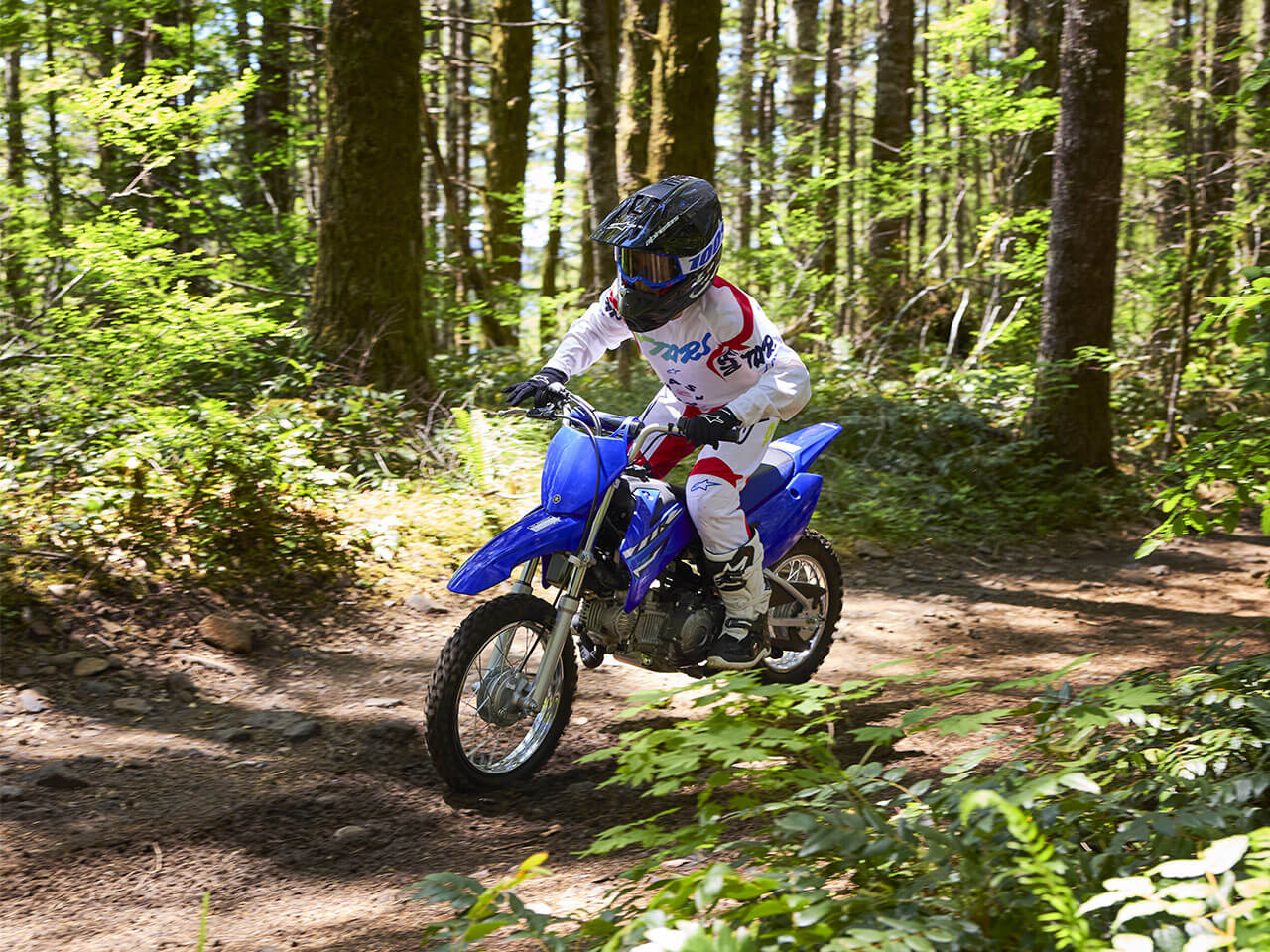Yamaha TTR110 SALE
